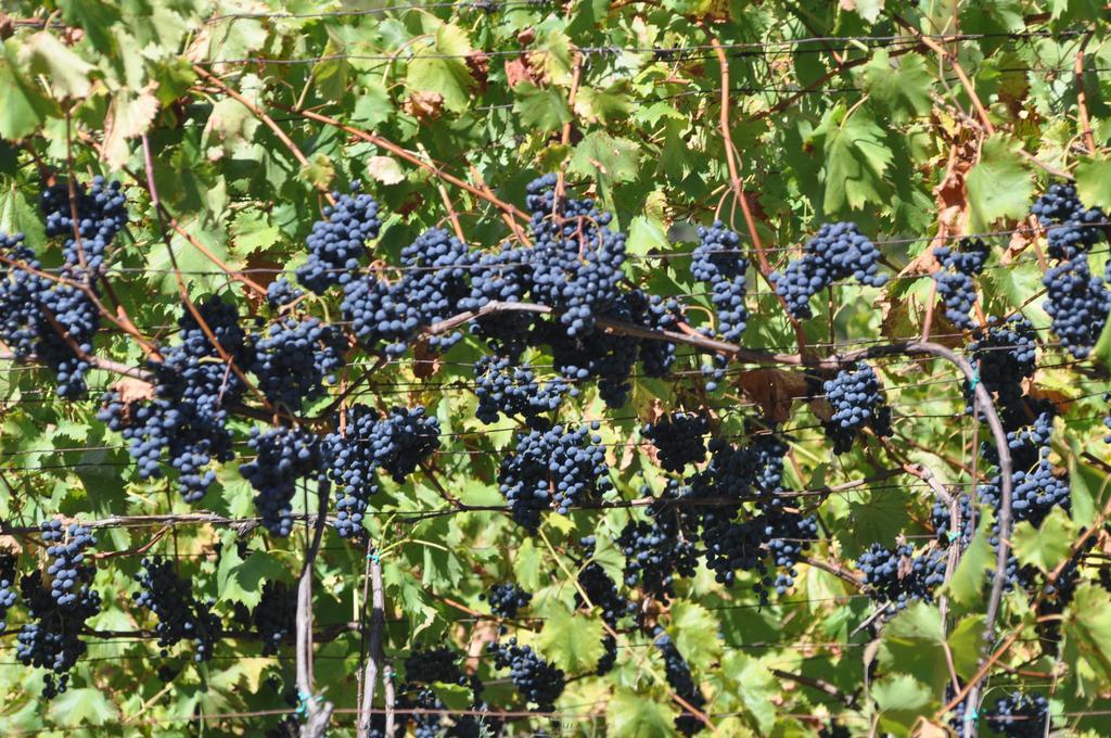 Ausserperskolerhof - Adults Only Fiè Zewnętrze zdjęcie